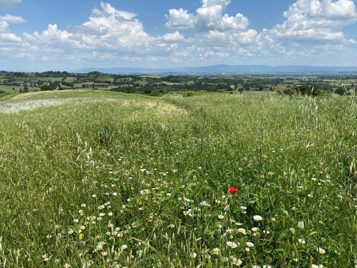 Agriturismo La Collina シエーナ エクステリア 写真