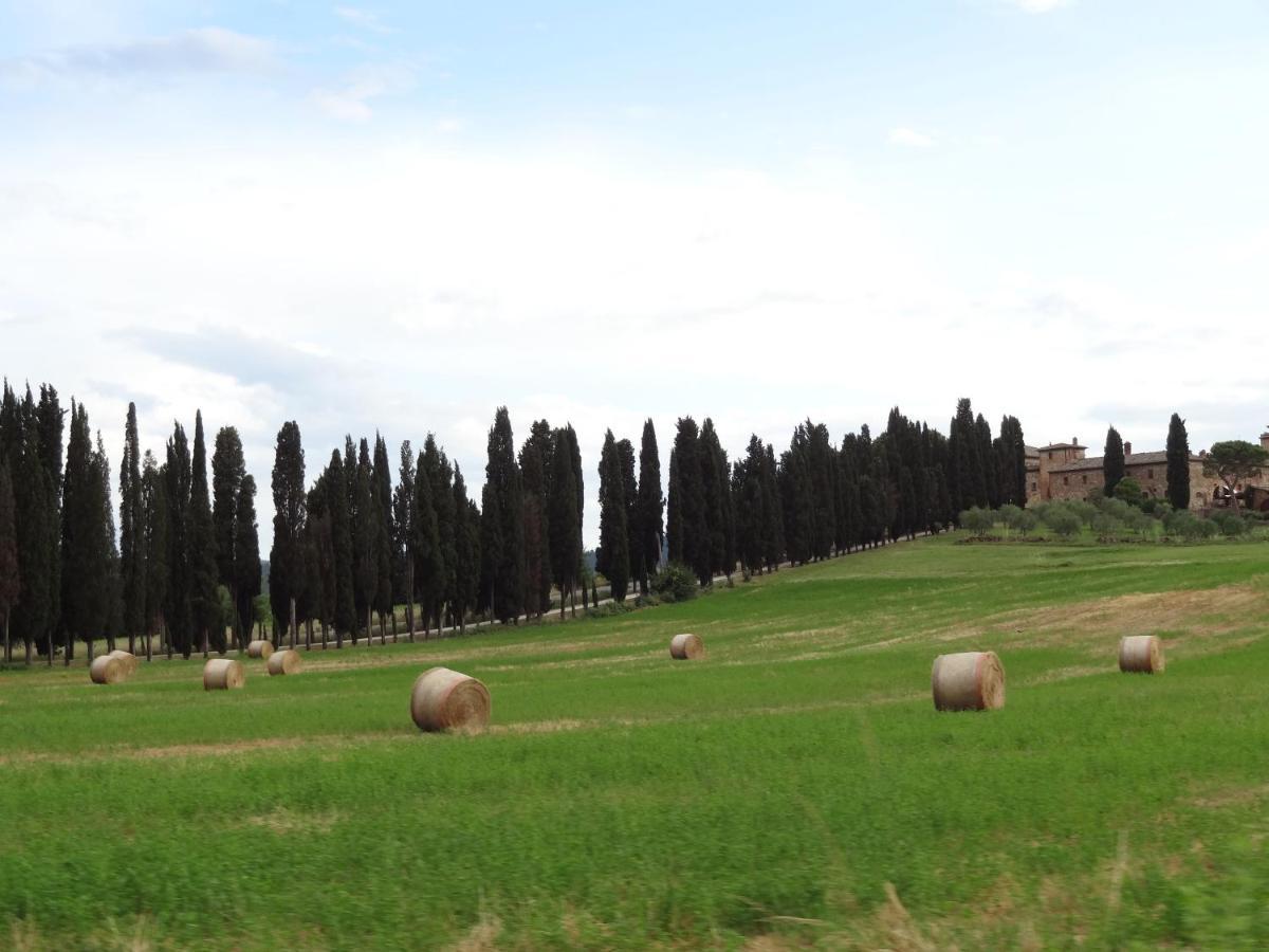 Agriturismo La Collina シエーナ エクステリア 写真