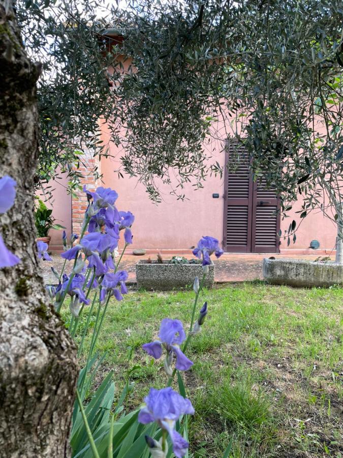 Agriturismo La Collina シエーナ エクステリア 写真