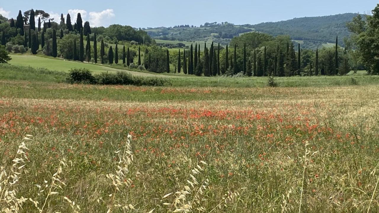 シエーナ Agriturismo La Collinaヴィラ エクステリア 写真