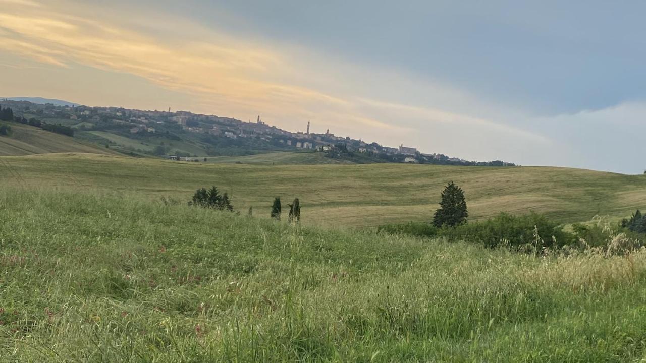 シエーナ Agriturismo La Collinaヴィラ エクステリア 写真