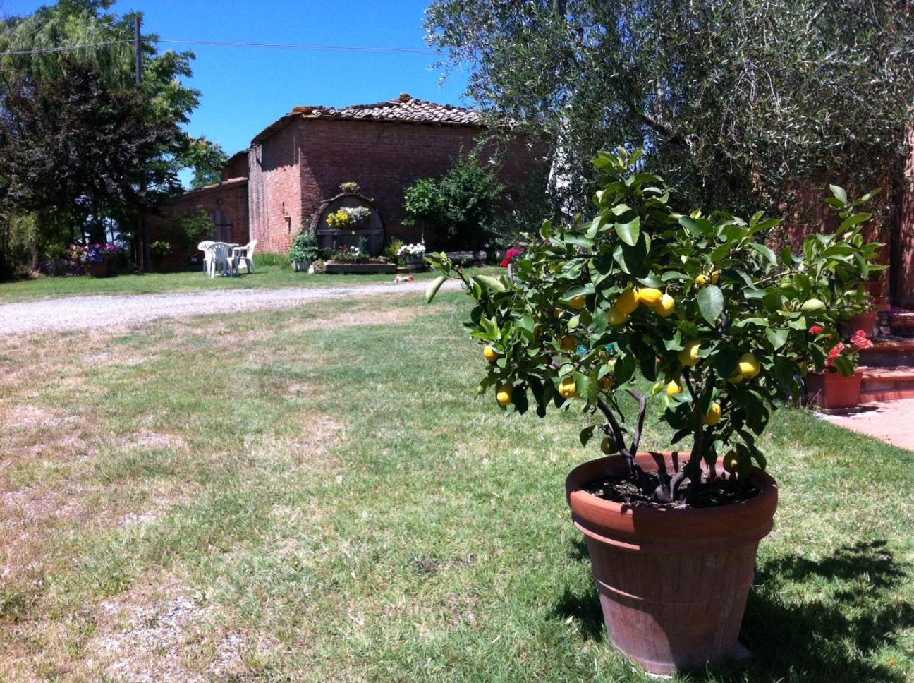 シエーナ Agriturismo La Collinaヴィラ エクステリア 写真